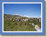 Cam, Tim & Sally * (78 Slides)